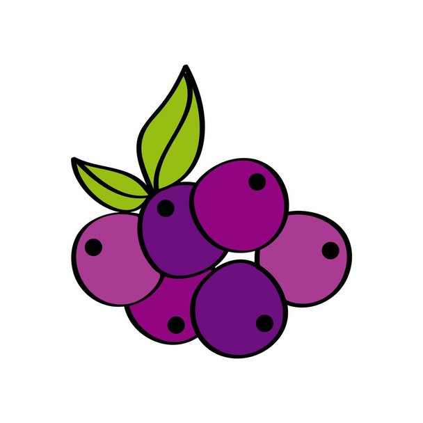 icono de fruta saludable
 - Vector, imagen