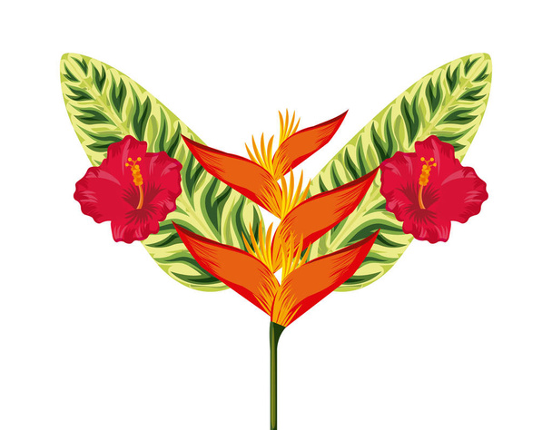 Trópusi virágok design - Vektor, kép