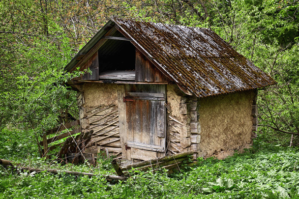 Un vecchio rifugio nella foresta verde
 - Foto, immagini
