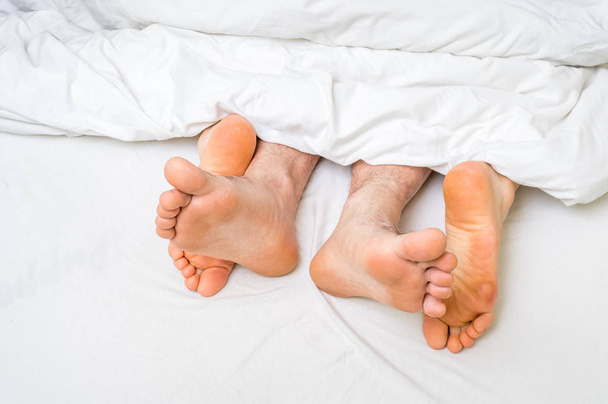 Close-up of four feet in a bed under the blanket - 写真・画像