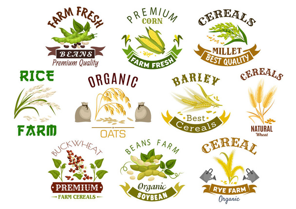 Grain and cereal product vector isolated icons - Vector, Image