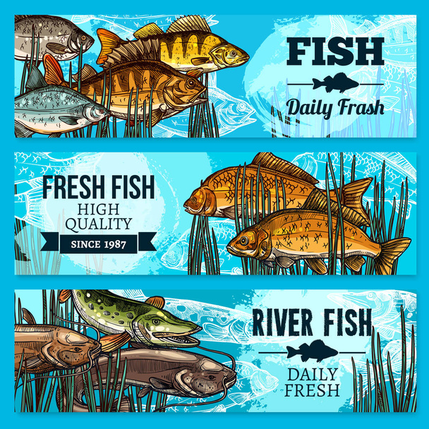 Свіжа риба Векторні ескізи банери для ринку
 - Вектор, зображення