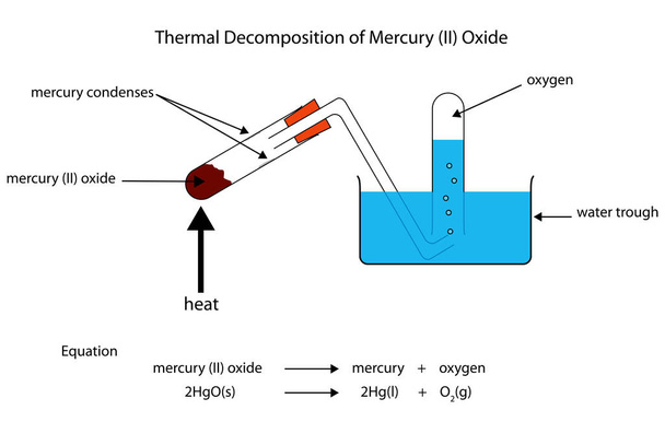 Ilustración completamente etiquetada de la descomposición térmica del mercurio
  - Vector, Imagen