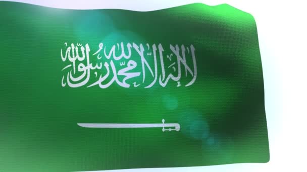 Flaga Arabii Saudyjskiej macha fala - Materiał filmowy, wideo