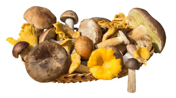 Different mushrooms  in basket isolated on white background - Photo, Image