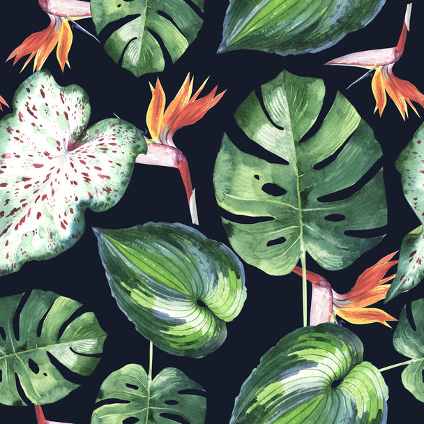Trooppinen Havaiji lehdet palmu kuvio akvarelli tyyli eristetty
. - Valokuva, kuva