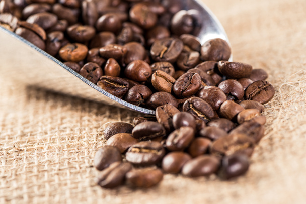 aromatische Kaffeebohnen - Foto, Bild