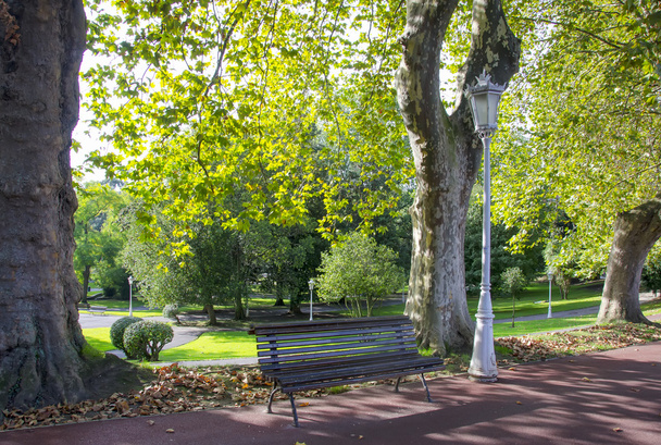 公園内のベンチ - 写真・画像