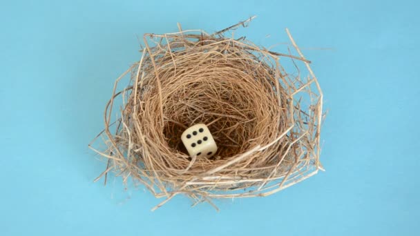 úspěšné velikonoční hnízdo s vejcem a hráči kostky - Záběry, video