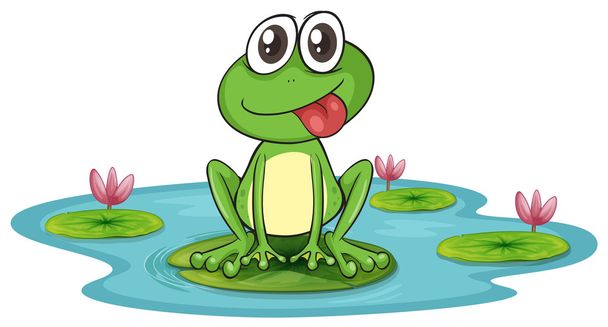 a frog and water - Vector, Image