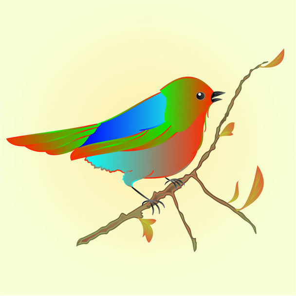 kleiner Vogel auf Zweig Frühling Hintergrund Vektor - Vektor, Bild