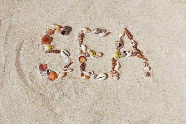 Word "sea" made of seashells on beach sand - Фото, зображення