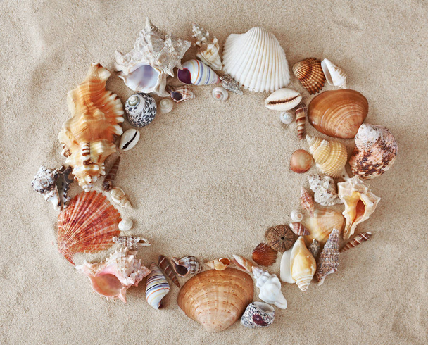 Frame made from colorful beautiful seashells on sand background. - Photo, image