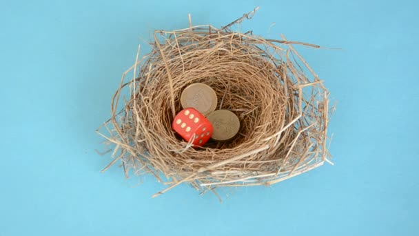 монеты и кубики в гнезде птиц
 - Кадры, видео