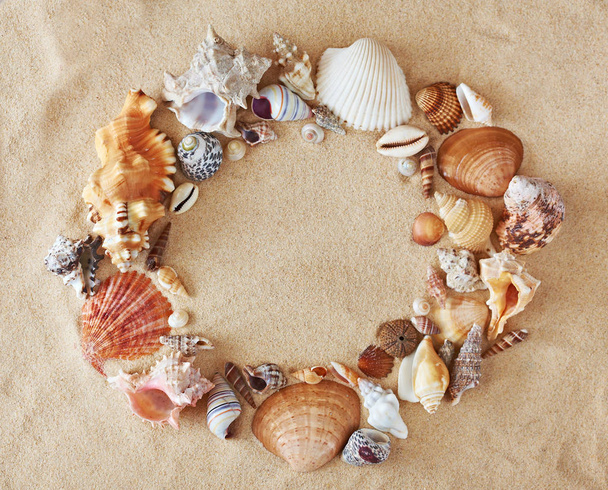 Frame made from colorful beautiful seashells on sand background. - Фото, изображение