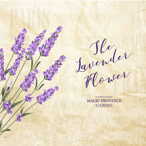 The lavender elegant card. - Vector, Image