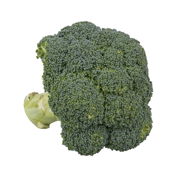 Beyaz bir arka plan üzerinde taze brocoli - Fotoğraf, Görsel