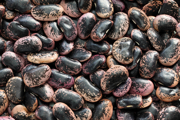 scarlet runner beans - Zdjęcie, obraz
