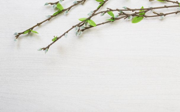 Весняна пасхальна кицька лежить на білому дерев'яному столі назад
 - Фото, зображення