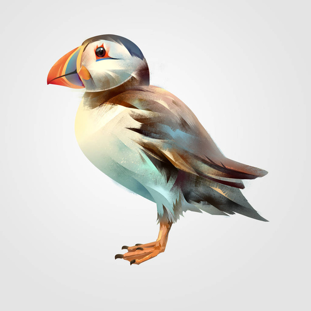 Painted bright isolated bird Puffin - Foto, Bild