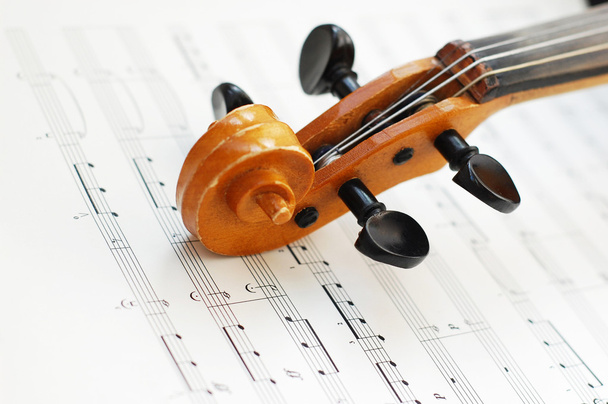バイオリンのスクロール - 写真・画像