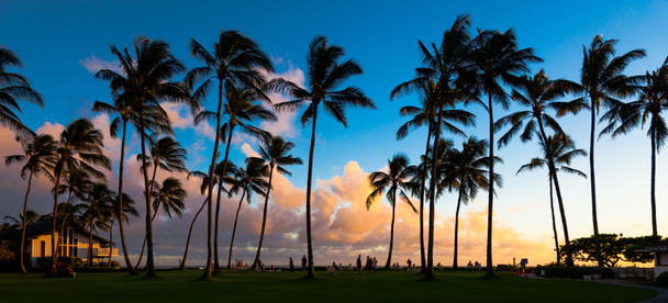 Puesta de sol de Kauai
 - Foto, imagen