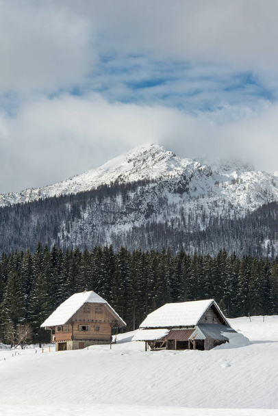 Traditional wooden shepherd cottages on alpine meadow - Foto, Bild