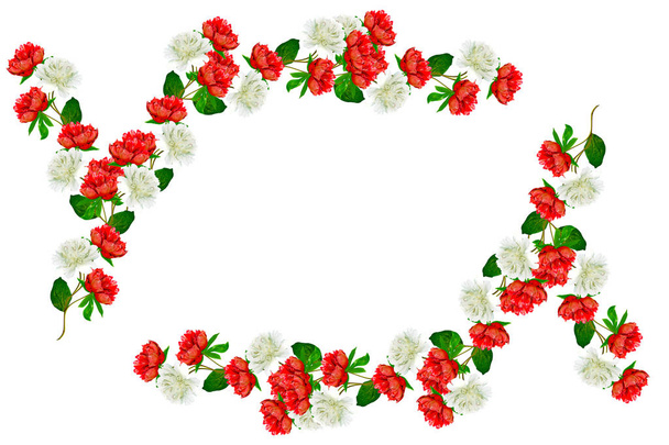 Colorful bright flowers peonies isolated on white background. - Valokuva, kuva