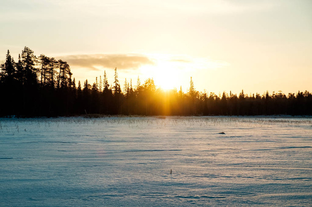 Magical winter sunset - Foto, immagini