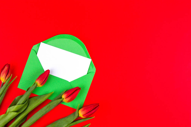 花チューリップと赤の背景に白のカードで緑の封筒 - 写真・画像