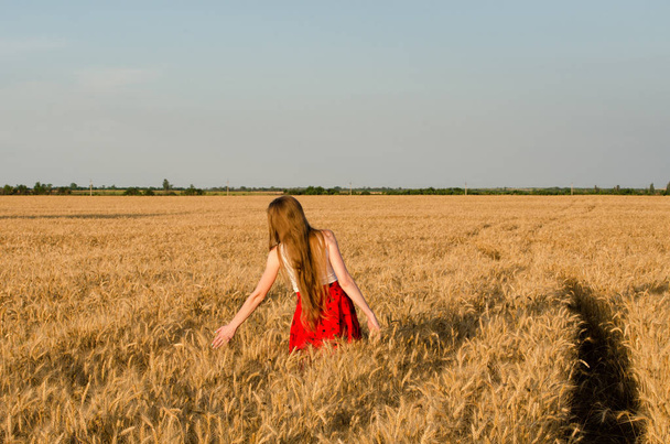 Девушка в красной юбке ходит по пшеничному полю, руки касаются ушей, вид сзади
 - Фото, изображение