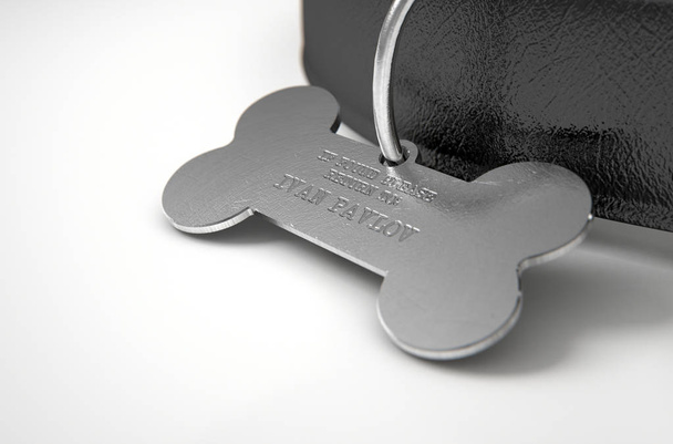 Leather Collar With Tag - Photo, Image