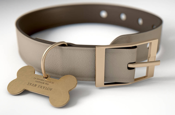 Leather Collar With Tag - Photo, Image