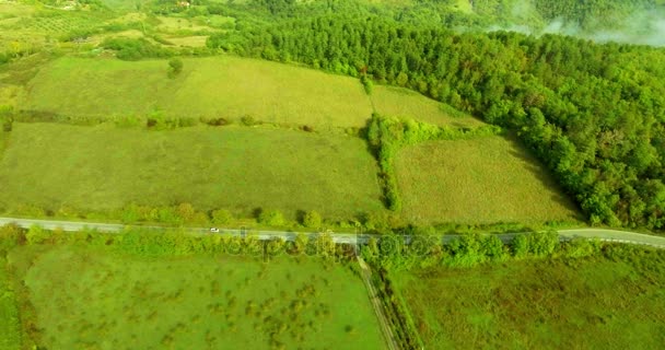 Panoramablick von oben auf Forststraße, Felder und Wald, das Auto fährt die Straße entlang. Luftaufnahme. - Filmmaterial, Video