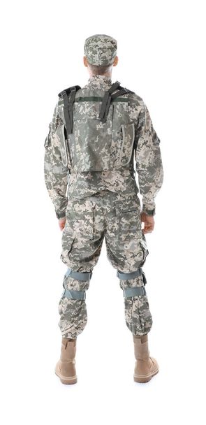 Soldier in camouflage isolated on white - 写真・画像