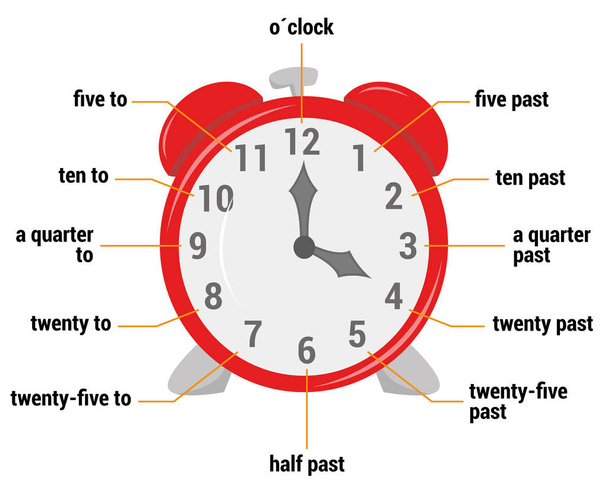 The time vocabulary Vector Illustration. Educational material for primary school students - Vector, Image