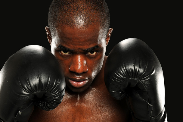 młody Afryki amerykański bokser - Zdjęcie, obraz