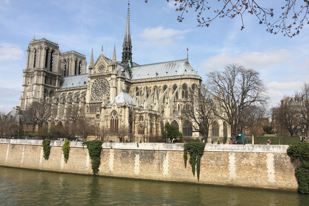 Notre Dame und sena Fluss - Foto, Bild