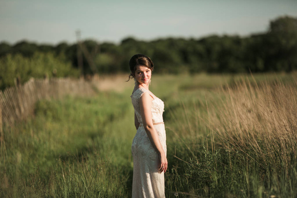 Braut im weißen Kleid im Feld - Foto, Bild
