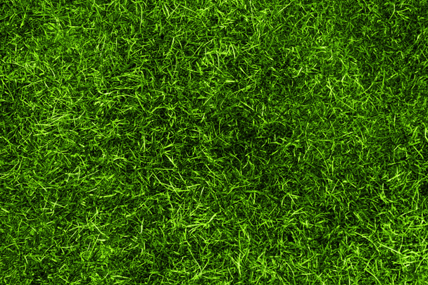 Texture dell'erba - Foto, immagini