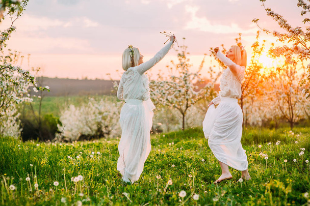  twin sisters in a cherry orchard - 写真・画像
