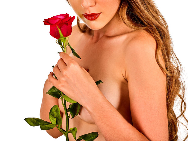 Στήθος γυναίκα nude και ροζ τριαντάφυλλο λουλούδι. Υγεία και το δέρμα φροντίδα έννοια. - Φωτογραφία, εικόνα