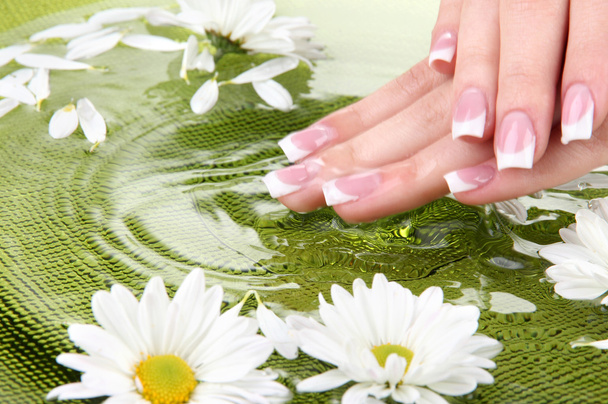 Woman hands with french manicure and flowers in green bowl with water - Fotoğraf, Görsel
