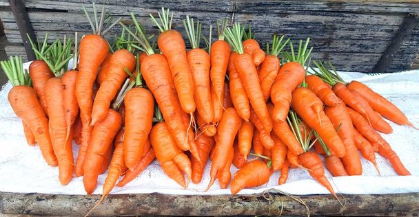 Branco di carote fresche da giardino nei mercati delle tribù Hill, Thailandia
 - Foto, immagini