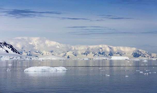 Pobřeží Antarktidy - Fotografie, Obrázek