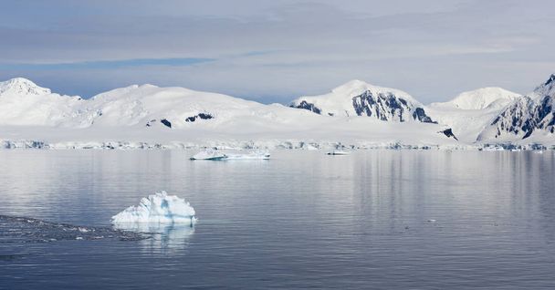 南極大陸の海岸 - 写真・画像