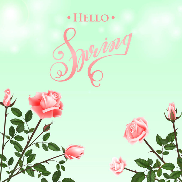Hello Spring Background with Roses. Hand Drawn Lettering. - Vetor, Imagem