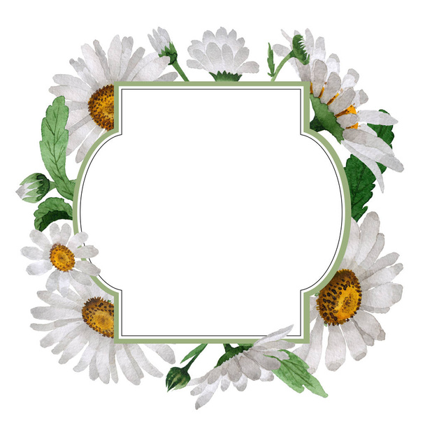 Wildflower chamomile flower  frame in a watercolor style isolated. - Fotografie, Obrázek