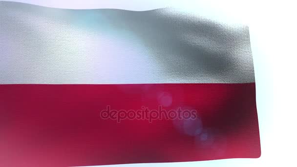Σημαία Πολωνίας που φυσάει ο άνεμος κυματίζοντας κύμα - Πλάνα, βίντεο