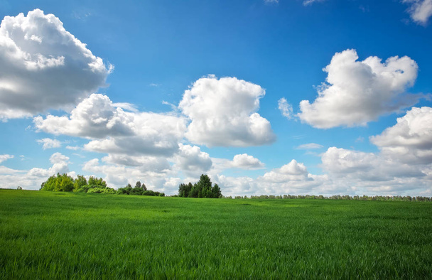 Bellissimo campo verde e cielo nuvoloso blu
. - Foto, immagini